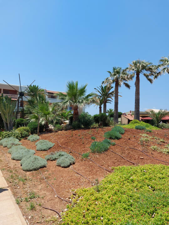 Gartenanlage Anissa Beach & Village