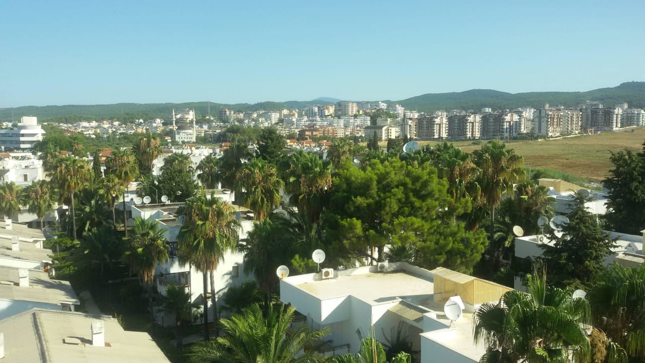 Stadt Avsallar  Antik Garden