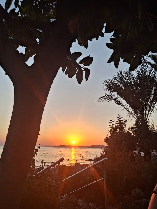 Ausblick Aska Hotel Just in Beach