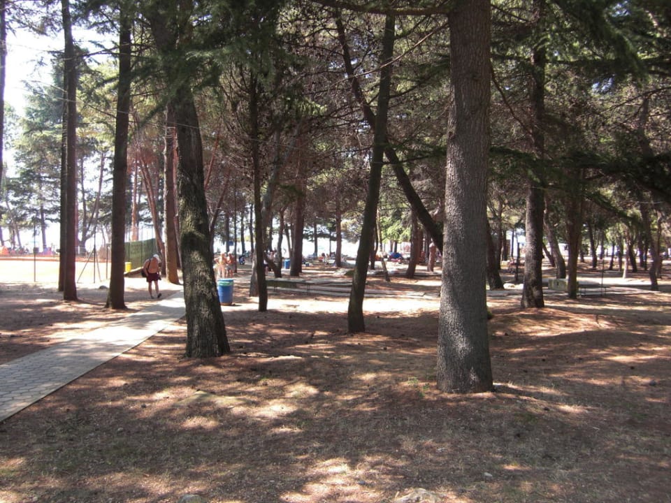 Hotelstrand Valamar Parentino Hotel