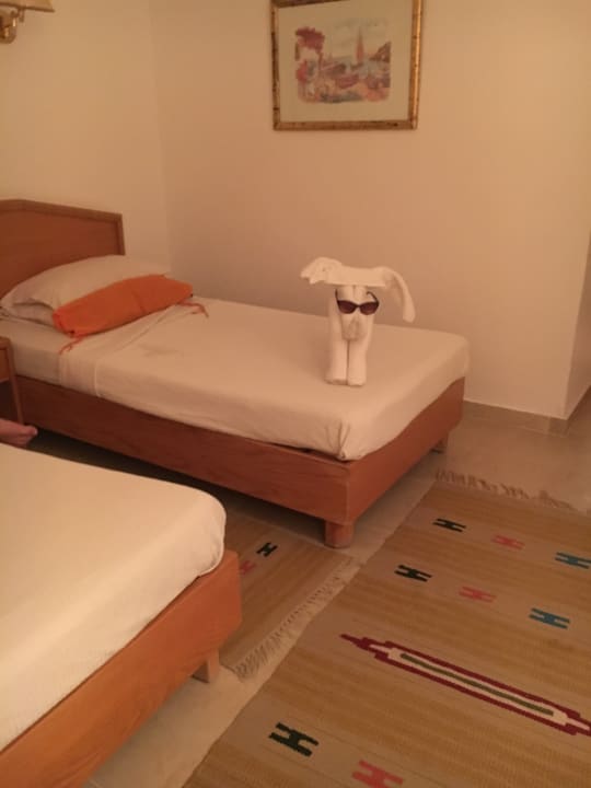 Zimmer Menaville Safaga