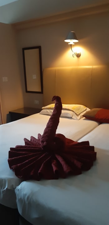 Zimmer Jaz Makadina