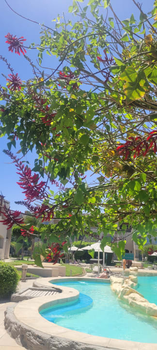 Pool Iberotel Casa Del Mar Resort