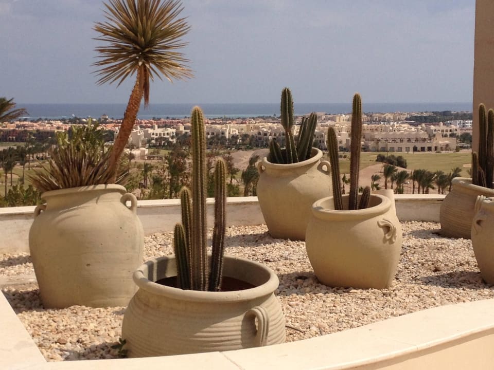 Blick zum Meeer Steigenberger Makadi Hotel - Adults only