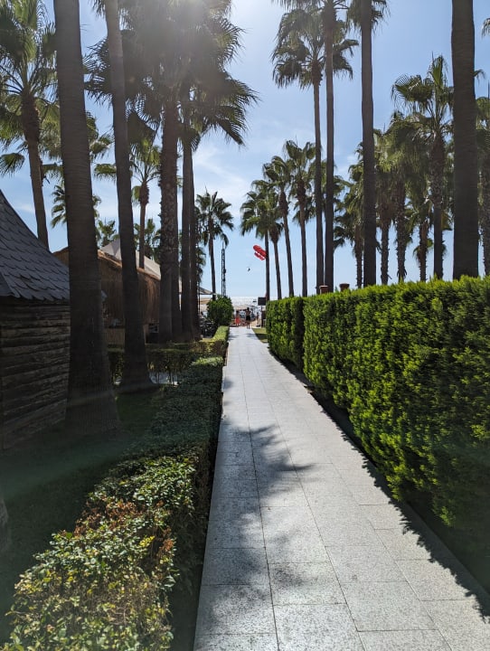 Gartenanlage Hotel Miramare Beach