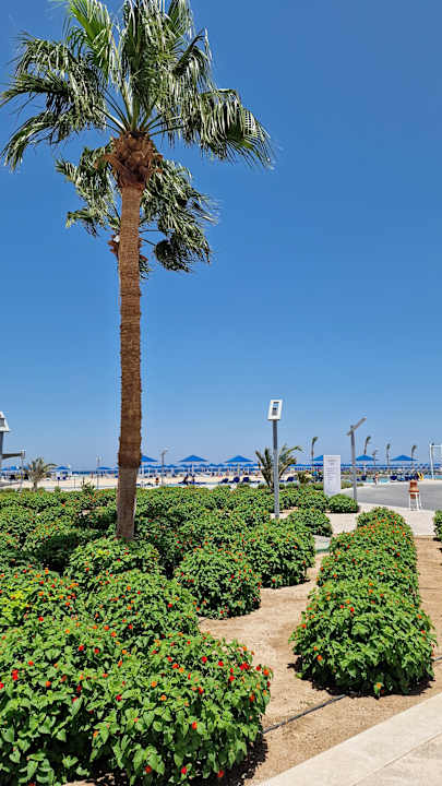 Strand Albatros Makadi Resort