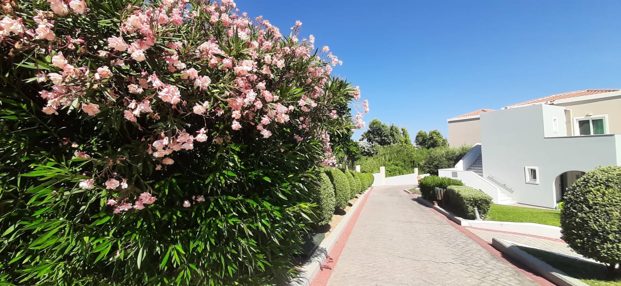 Gartenanlage Atlantica Marmari Palace