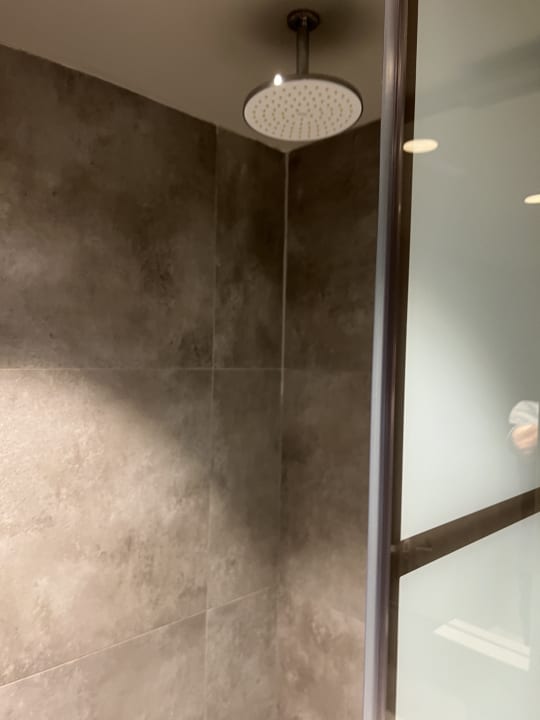 Zimmer Paloma Finesse