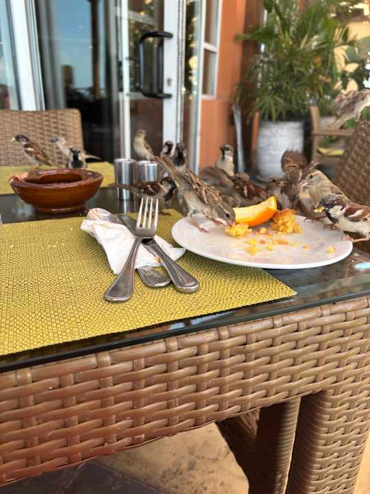 Gastro Novotel Marsa Alam Beach Resort