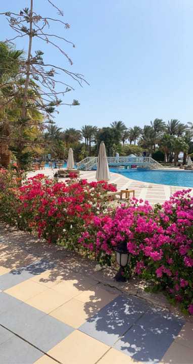 Pool Brayka Bay Resort