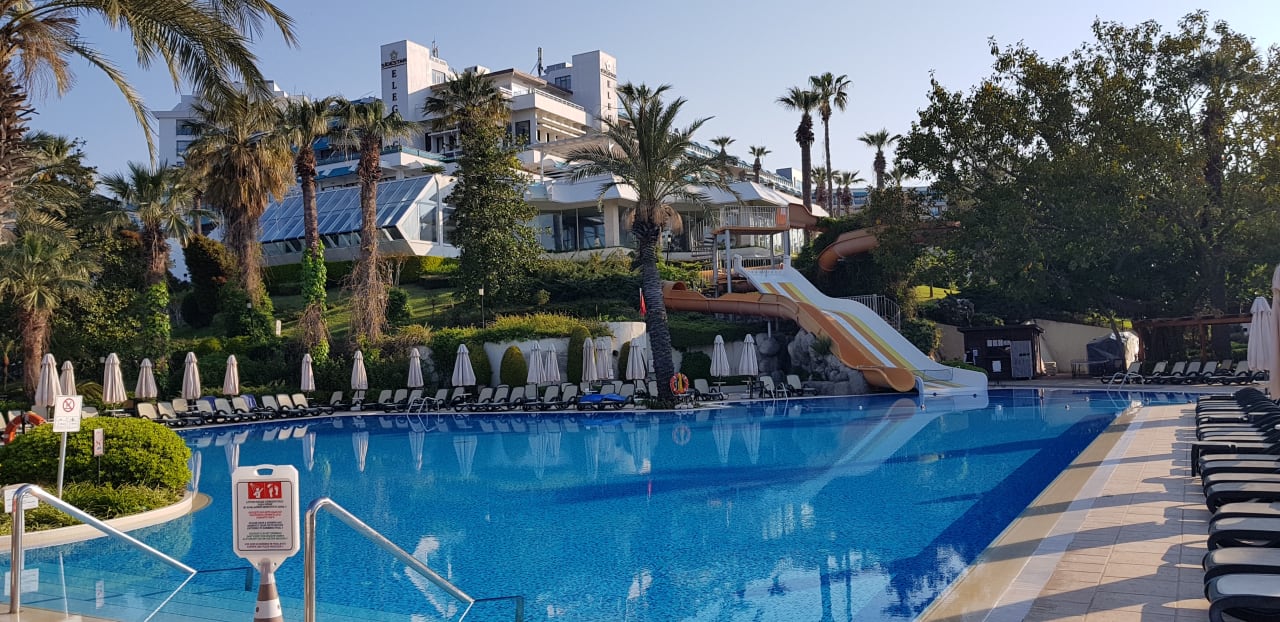 Pool Side Star Elegance