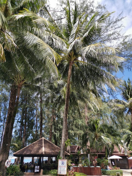 Gartenanlage Best Western Premier Bangtao Beach Resort & Spa