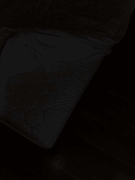 Zimmer Thermenhotel Viktoria