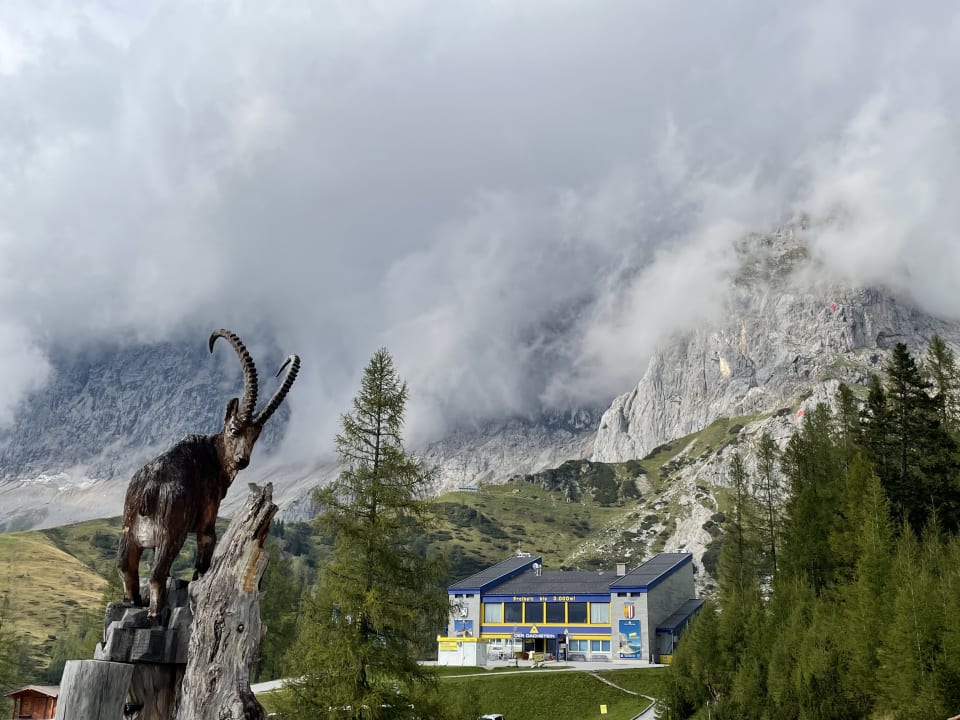 Ausblick Berghotel Türlwand