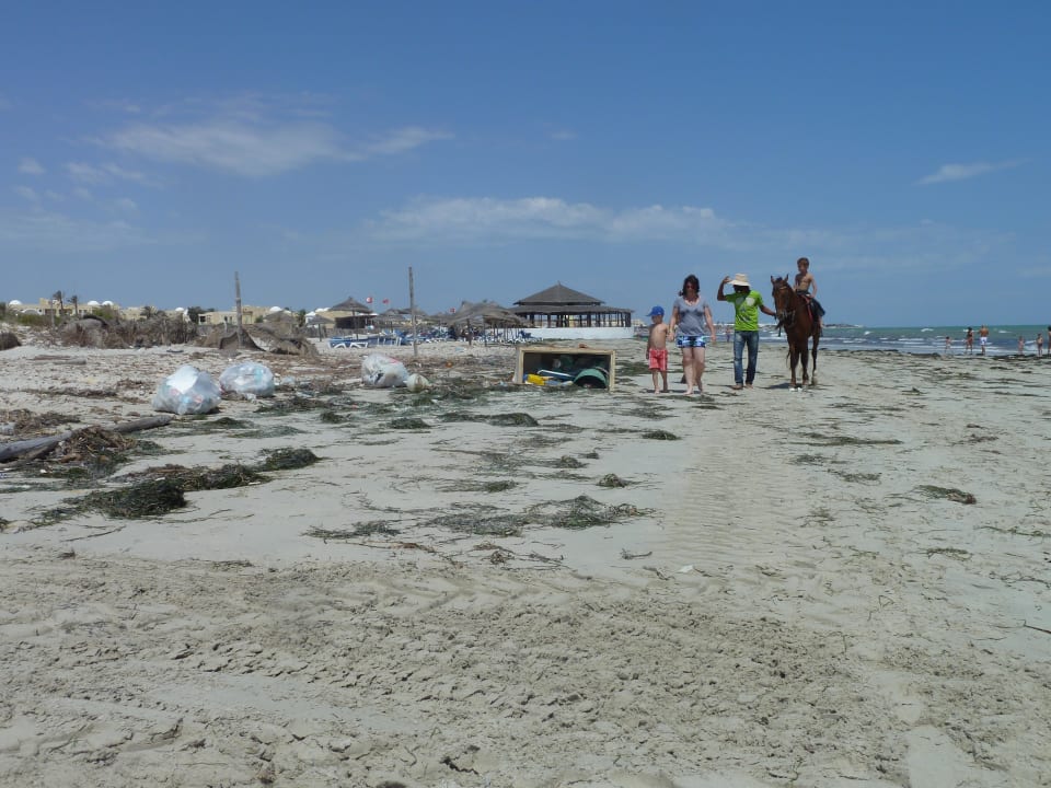 Offene Müllhalde! Die Ratten freut es. Djerba Aqua Resort