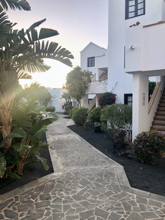 Gartenanlage allsun App.-Hotel Albatros