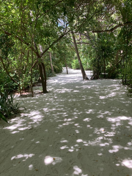 Gartenanlage Summer Island Maldives