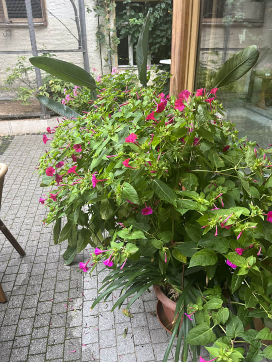 Gartenanlage Zur Grünen Eiche