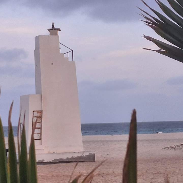 Ausblick Hotel Riu Palace Santa Maria