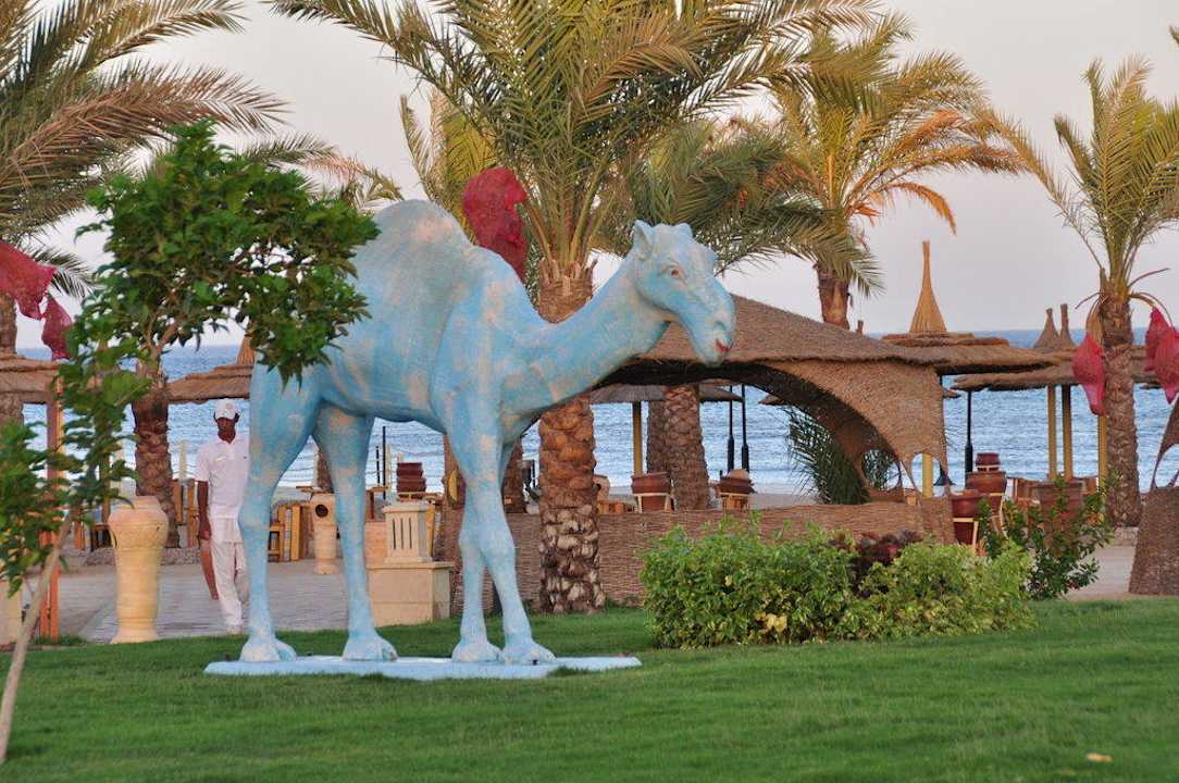Sie sind überall Pickalbatros Palace Resort