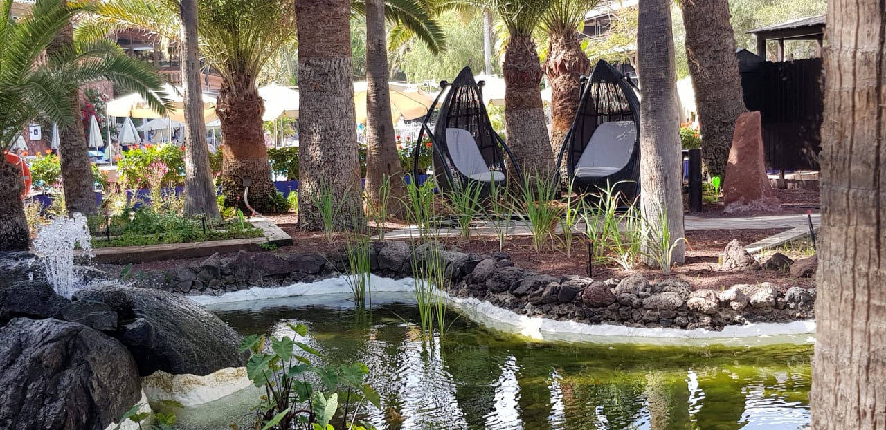Gartenanlage Hotel Parque Tropical