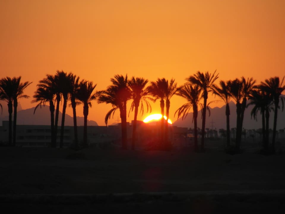 Zachód słońca Stella Garden Resort & Spa, Makadi Bay