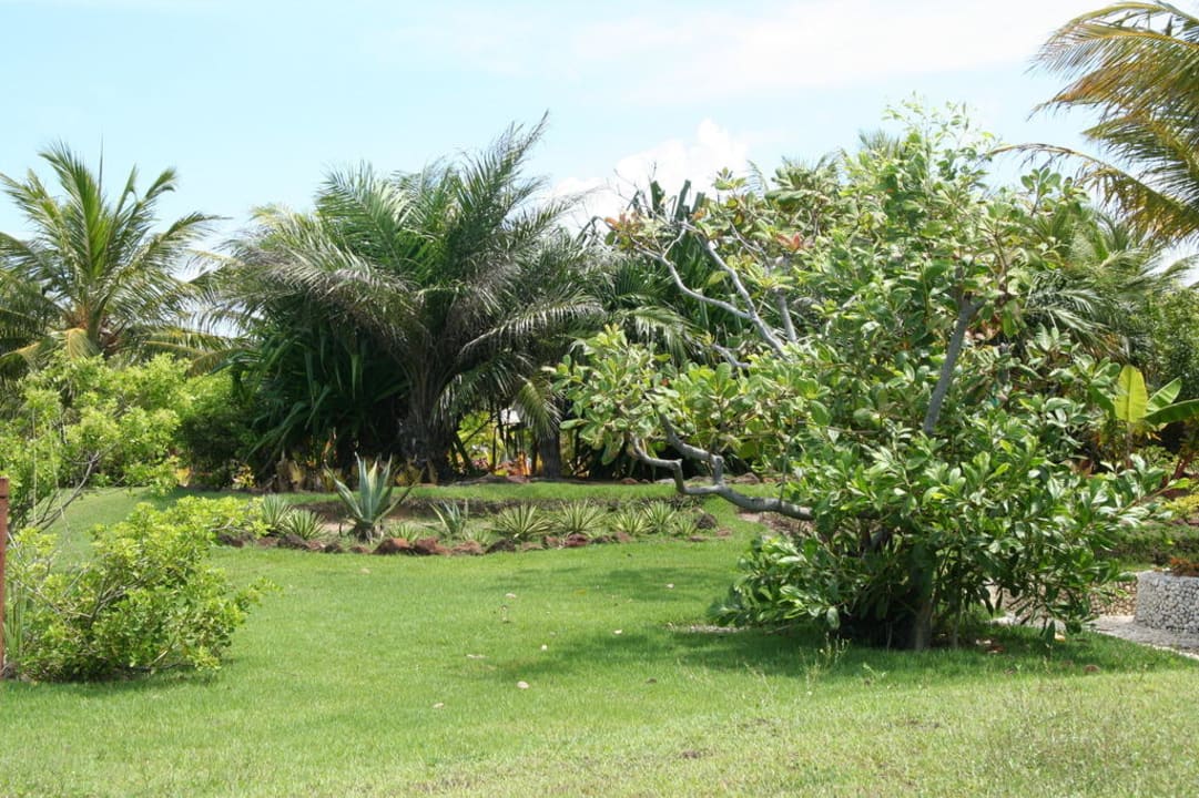 Wellness für die Augen Hotel Estrela do Mar Resort