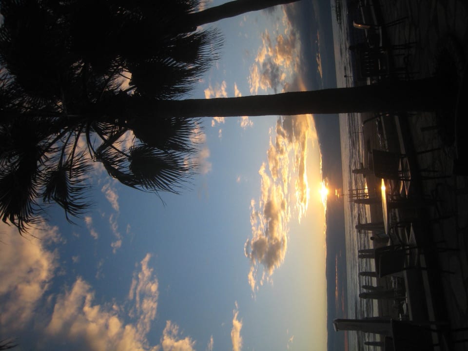 Beachbar Sonnenuntergang Arum Barut Collection