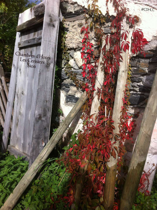 Cdhlc chambres_hotes_sion bnb_sion jardin automne B&B Les Cerisiers