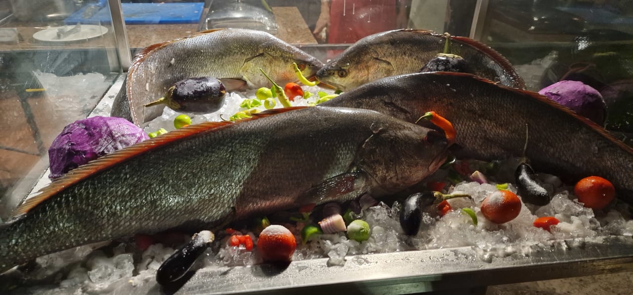 Gastro Pickalbatros Sands Hotel - Port Ghalib