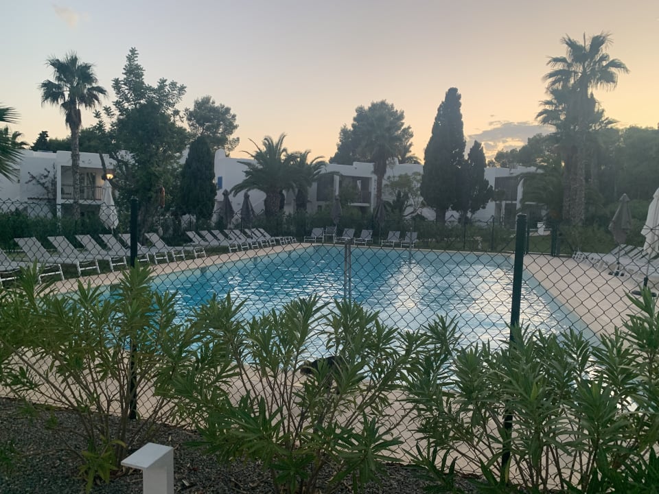 Pool Cala Llenya Resort Ibiza