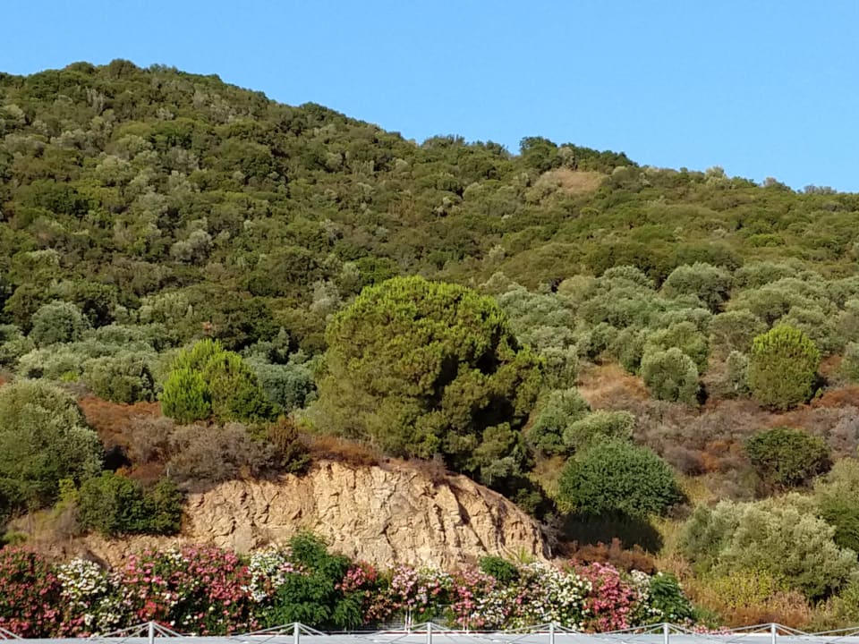 Ausblick Akrathos Beach Hotel