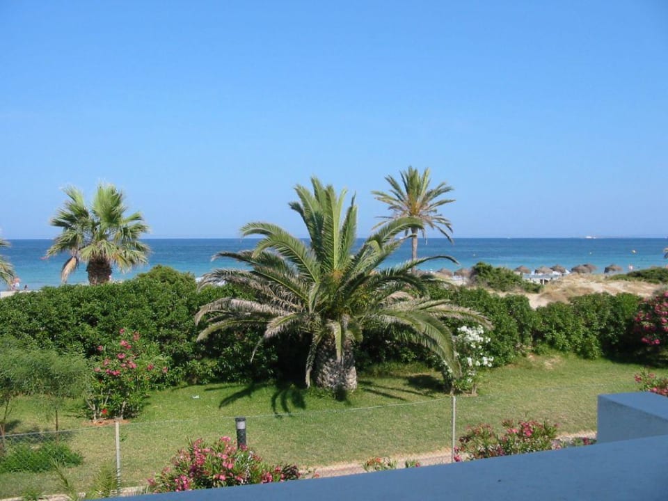 schöne Aussicht Grand Palladium White Island Resort & Spa