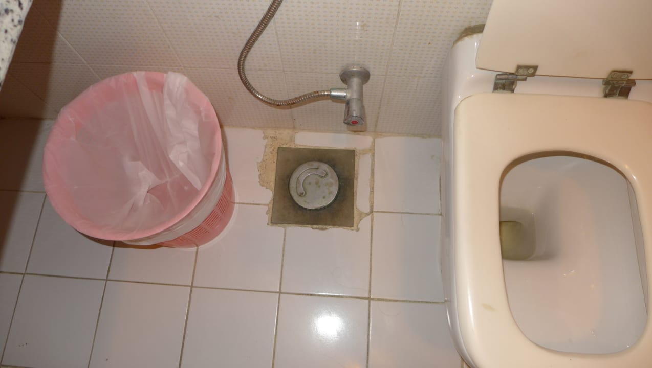 Zimmer Ghazala Gardens