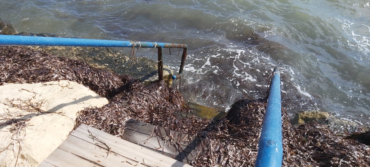 Strand Hotel Louis Phaethon Beach