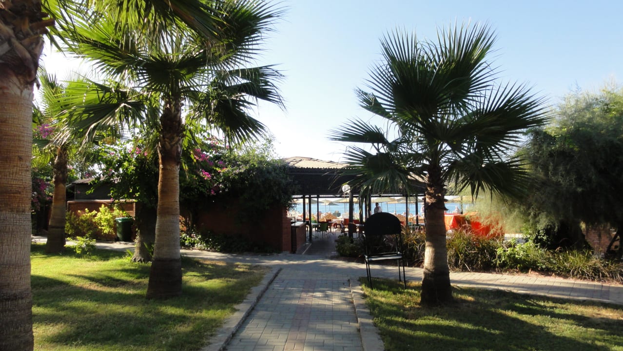 Gartenanlage MC Beach Park Resort Hotel