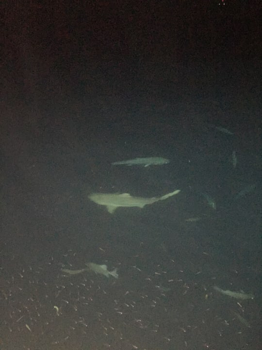 Strand Fun Island Resort & Spa (Im Umbau/Renovierung)