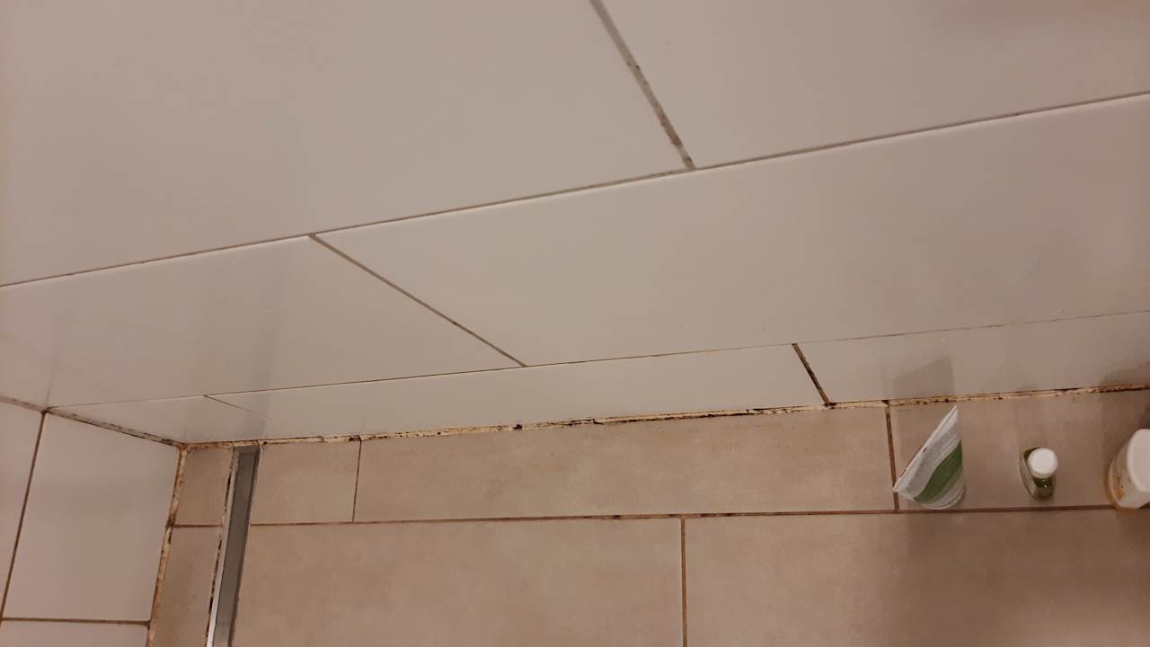 Sonstiges Glück am See - Apartment mit Seezugang