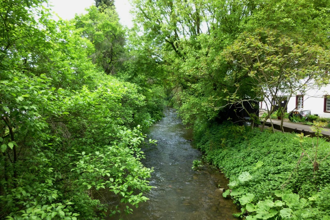Unmittelbar am Hotel fließt die Erft entlang Hotel Landgasthaus Steinsmühle