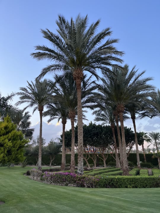 Gartenanlage Steigenberger ALDAU Beach Hotel