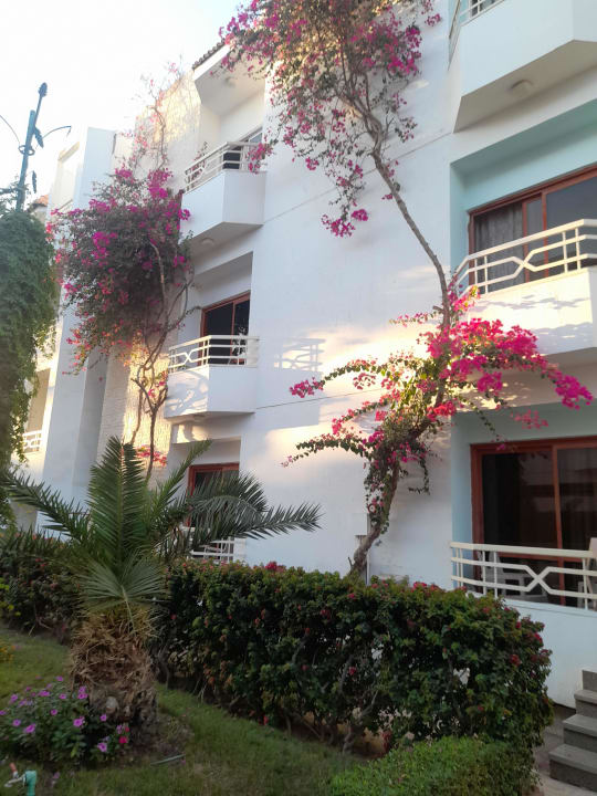 Gartenanlage Minamark Beach Resort & Spa