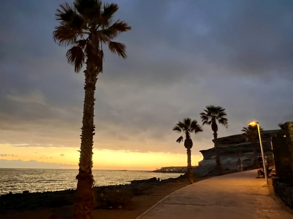 Sonstiges Hotel Riu Palace Tenerife