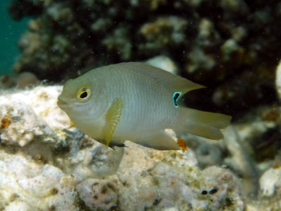 Sport & Freizeit Rohanou Beach Resort