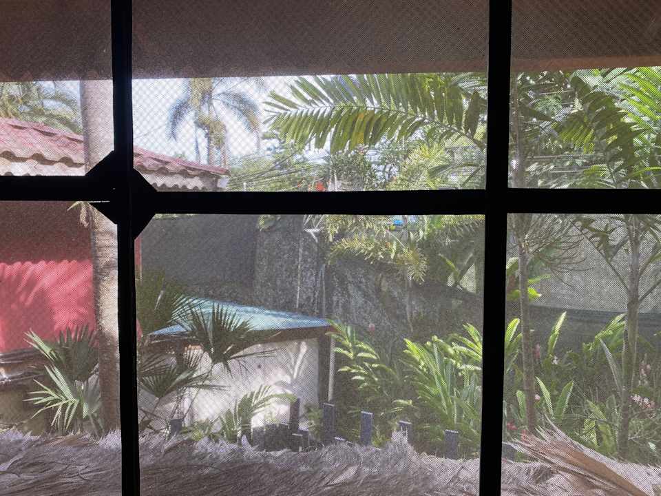 Ausblick Hotel Banana Azul