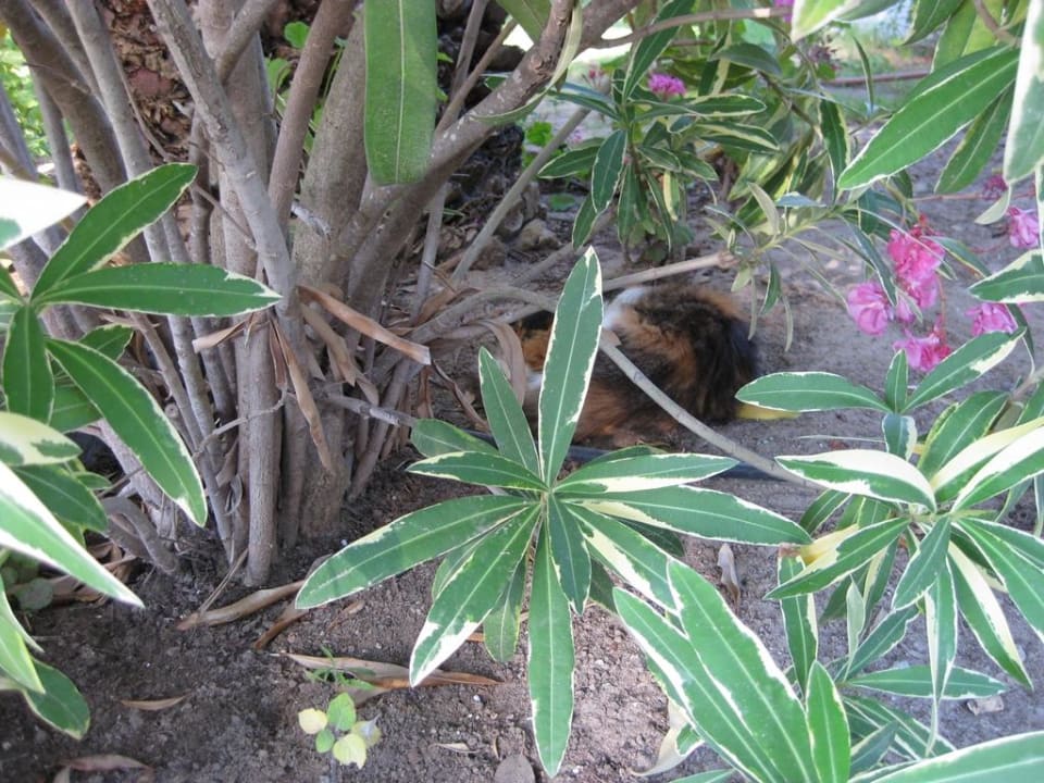 Suchbild  Hotel El Mouradi Port El Kantaoui