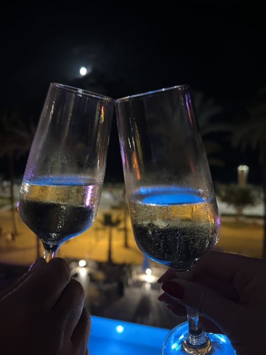 Sonstiges Myseahouse Flamingo - Adults only