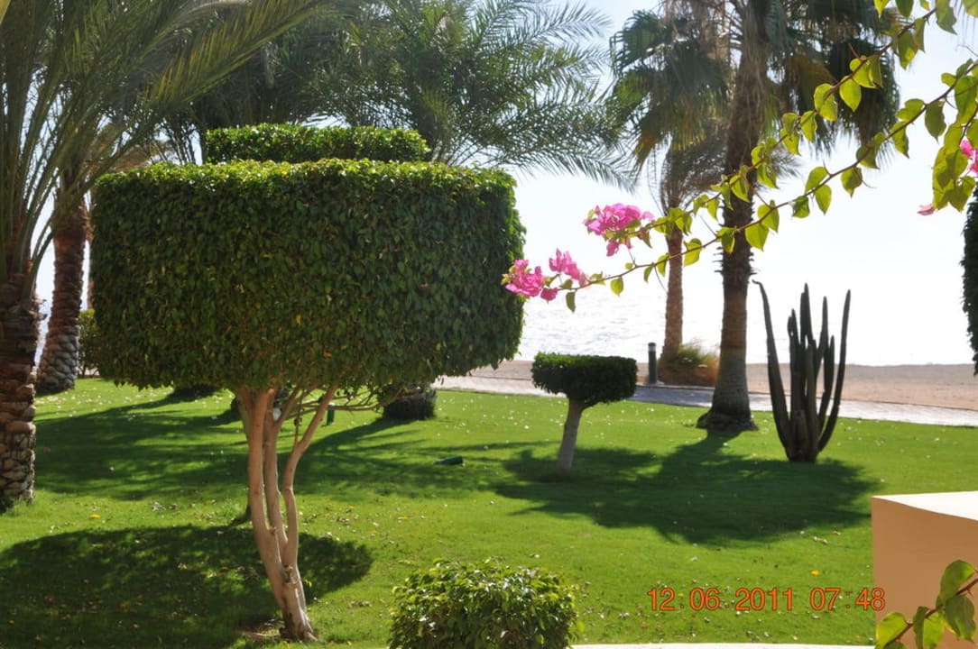 Gartenanlage Steigenberger Coraya Beach - Adults only