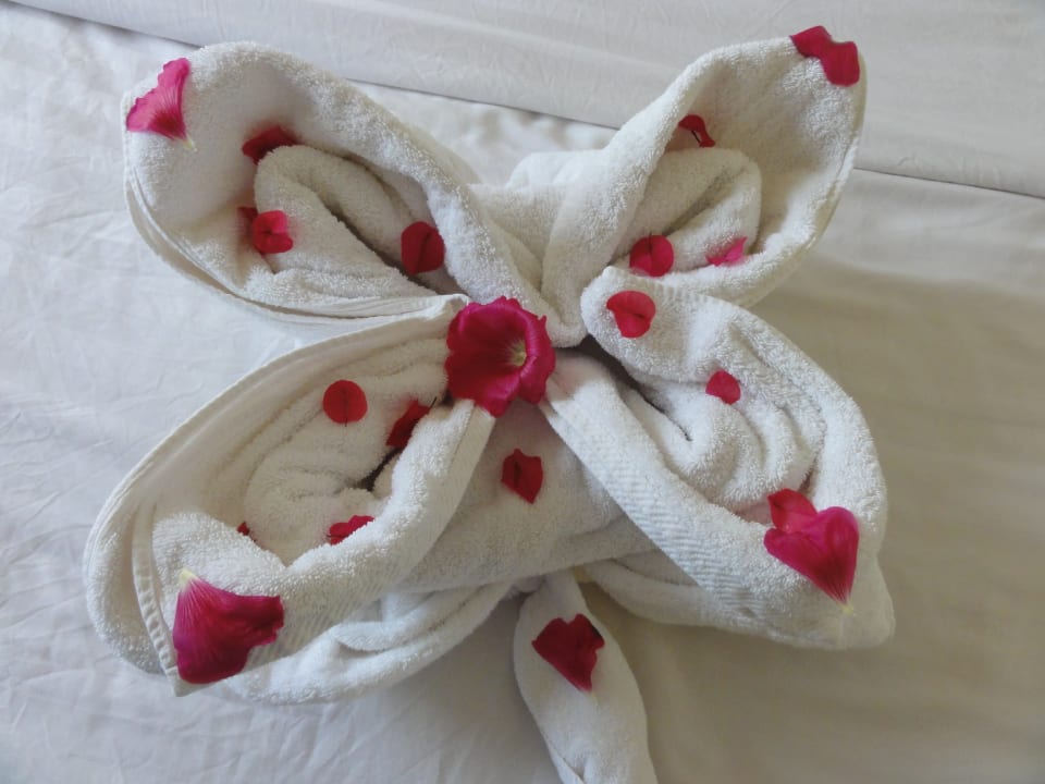 Zimmer Three Corners Sea Beach Resort