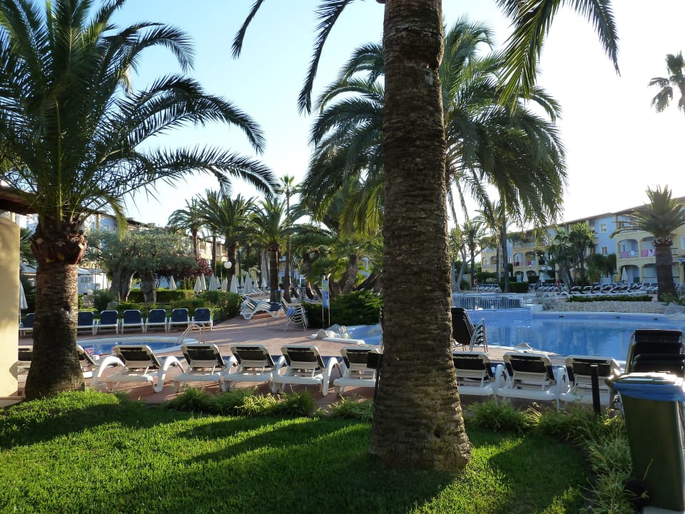 Am frühen Morgen Alcudia Garden Aparthotel