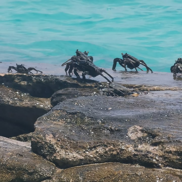 Strand Kuramathi Maldives